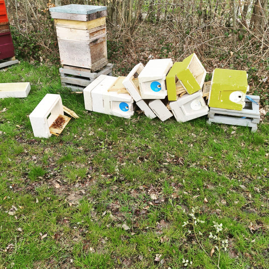 Winter in the Penshurst Apiary